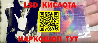 эйфоретик Берёзовский