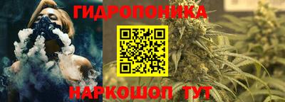 эйфоретик Берёзовский