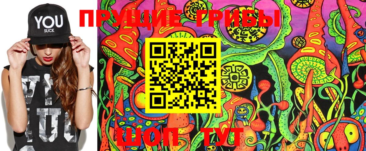 Псилоцибиновые грибы Psilocybe  Псилоцибиновые грибы Psilocybine cubensis  Вход с VPN  Казань 
