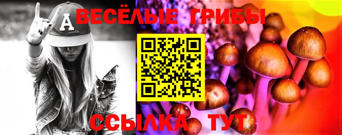Псилоцибиновые грибы прущие грибы Казань