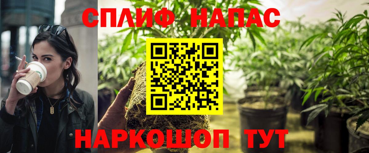 Каннабис Amnesia  Вход с VPN  Конопля AK-47  Казань  Марихуана ГИДРОПОН  Бошки марихуана гибрид 